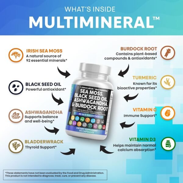 Clean Nutraceuticals Sea Moss Black Seed Oil Ashwagandha Turmeric Bladderwrack Burdock & Vitamin C Vitamin D3 with Elderberry Manuka Dandelion Yellow Dock Iodine Chlorophyll ACV - Image 3