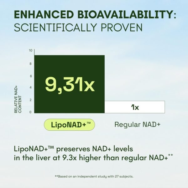 NMN Supplement Alternative - Liposomal NAD with Resveratrol - High Purity NAD Supplement for Anti-Aging, Energy, Focus - 60 Capsules - Image 4