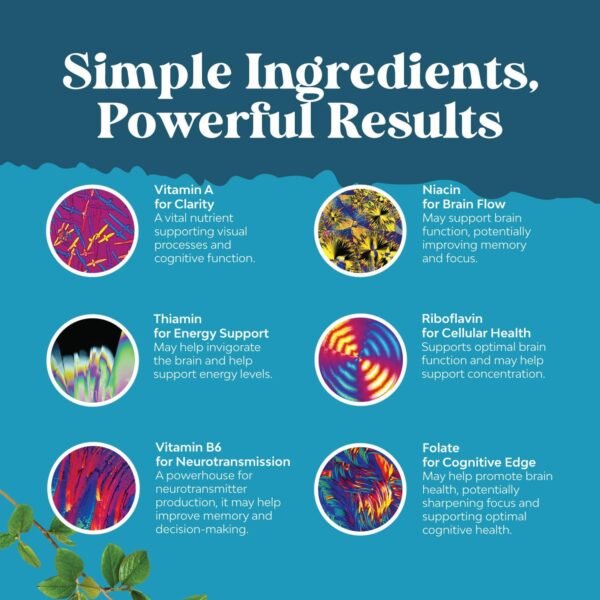 Nootropic Brain Supplement for Memory and Focus Enhancement - Vitamins for Mental Health & Clarity with VIT A, B6, Riboflavin, Niacin, Thiamin & Folate - Cognitive Complex for Mind Vitality - 90 Ct - Image 5