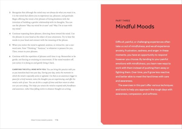 Practicing Mindfulness: 75 Essential Meditations to Reduce Stress, Improve Mental Health, and Find Peace in the Everyday - Image 7