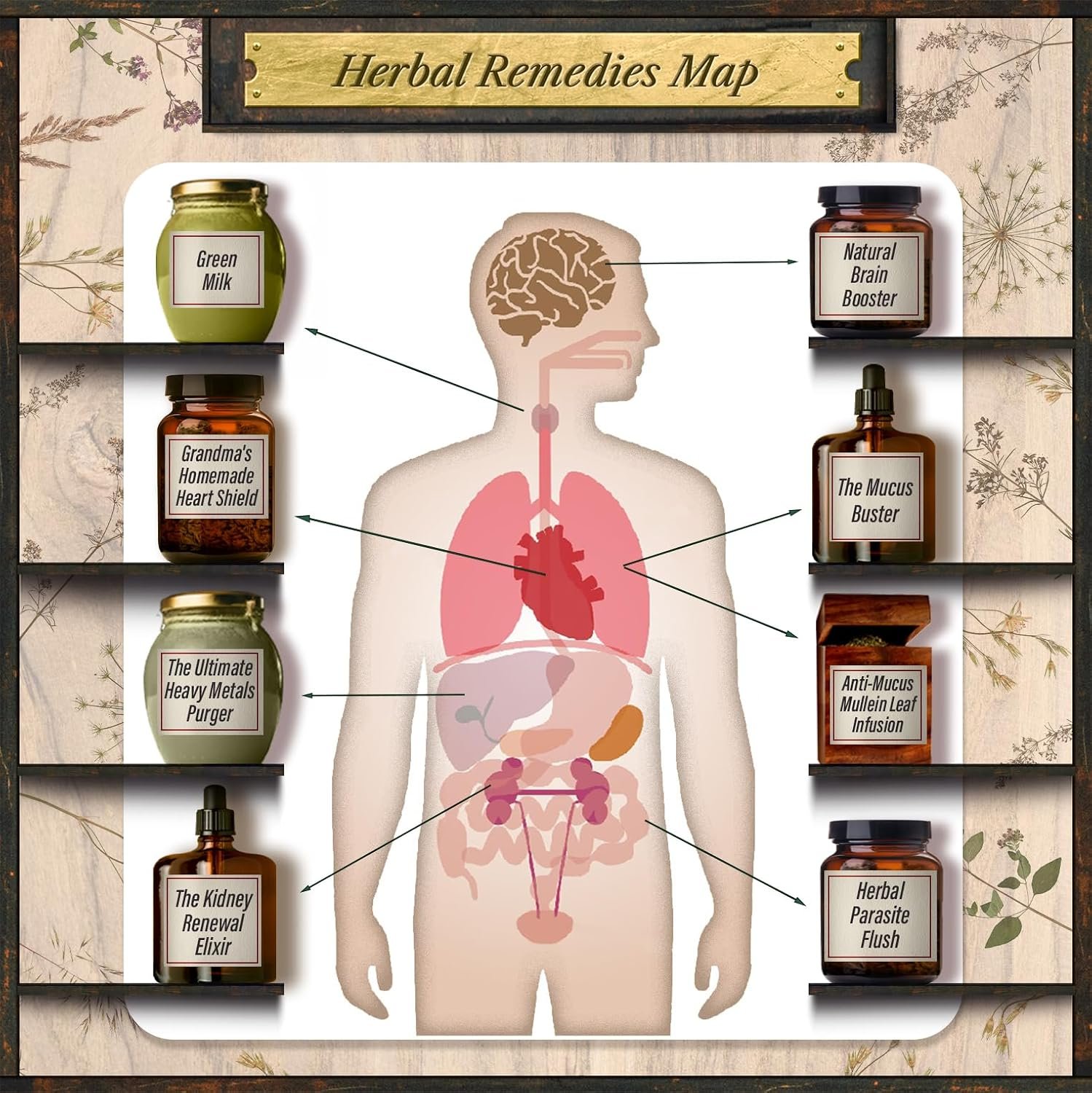 1747830878_Forgotten-Home-Apothecary-250-Powerful-Remedies-at-Your-Fingertips.jpg Forgotten Home Apothecary : 250 Powerful Remedies at Your Fingertips - Image 5
