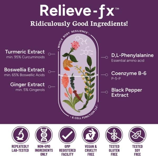 Relieve-fx™ Extra Strength Turmeric Curcumin Supplement with Black Pepper, Boswellia, Ginger, DLPA, Inflammation Health, Joint Support, Mood Relief, Detox Factor, Digestion, 90 Vegan Capsules - Image 5