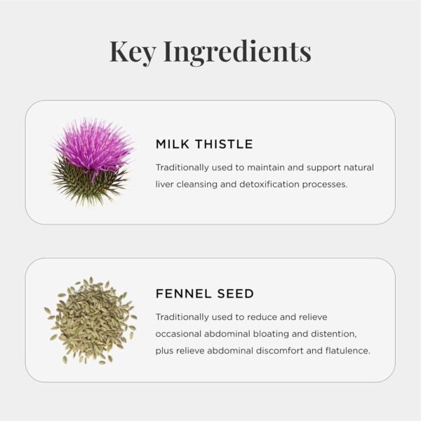 JSHealth Vitamins Detox and Debloat Liver Health Formula | Liver Detox Pills | Debloating Formula with Milk Thistle, Turmeric, Fennel | Liver Cleanse Supplement (60 Tablets) - Image 4