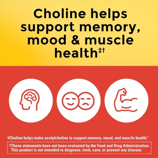 Nature Made Extra Strength Dosage Choline Supplements 800 Mg Per 3 Capsules, Brain Health, Mood, Muscle & Liver Support, Vegetarian, 60 Capsules, 20 Day Supply - Image 3