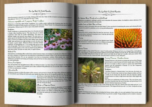 The Lost Book of Herbal Remedies - Image 3