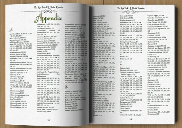 The Lost Book of Herbal Remedies - Image 4