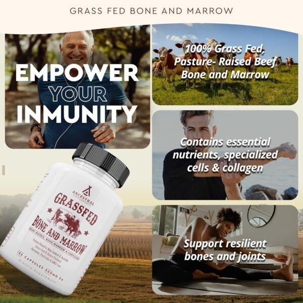 Ancestral Supplements Grass Fed Beef Bone and Marrow Supplement, 3000mg, Skin, Oral Health, and Joint Support Supplement, Promotes Whole-Body Wellness, Non GMO Whole Bone Extract, 180 Capsules - Image 2
